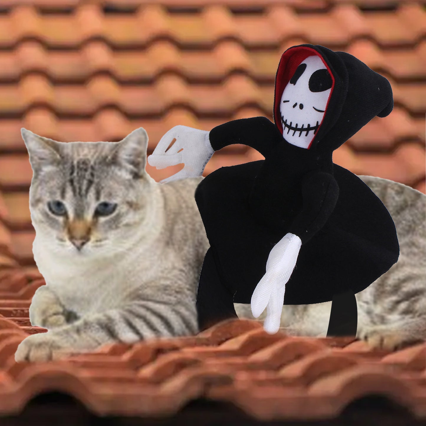 Goblin Rider Costume: Transform Your Pet into a Mischief-Maker – Limited-Time Spooky Savings!