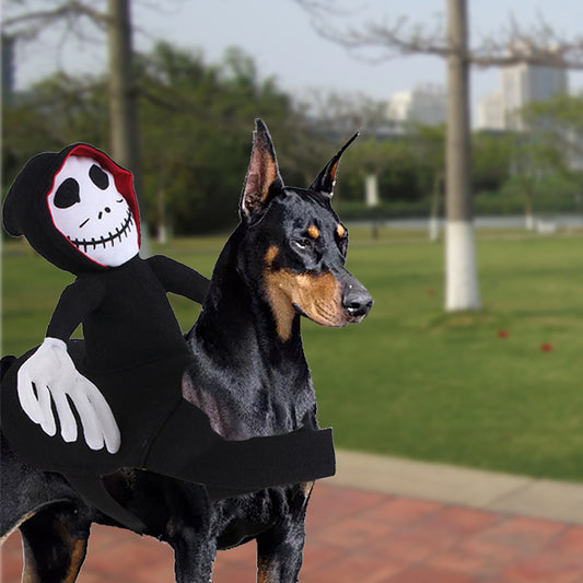 Goblin Rider Costume: Transform Your Pet into a Mischief-Maker – Limited-Time Spooky Savings!